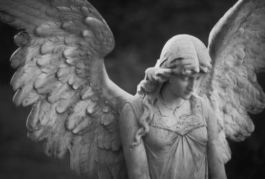 Image result for guardian angels images